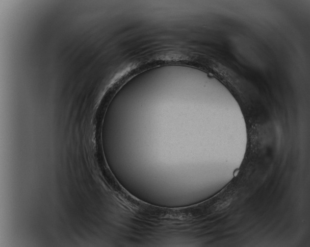 X0000052610727200507160036