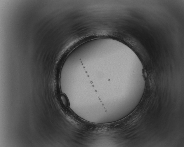 X0000052610728200507160036