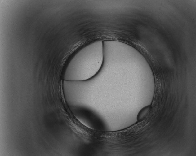 X0000052610729200507160036