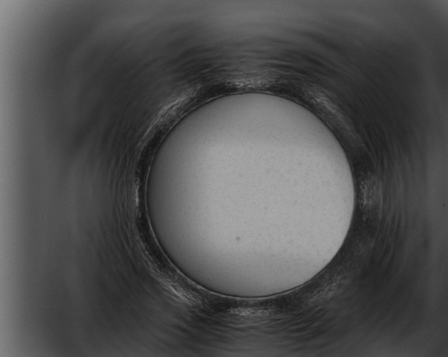 X0000052610733200507160037