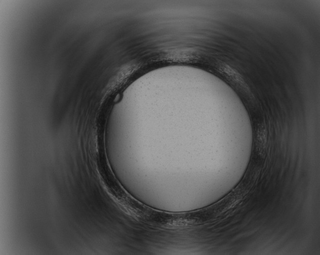 X0000052610734200507160037