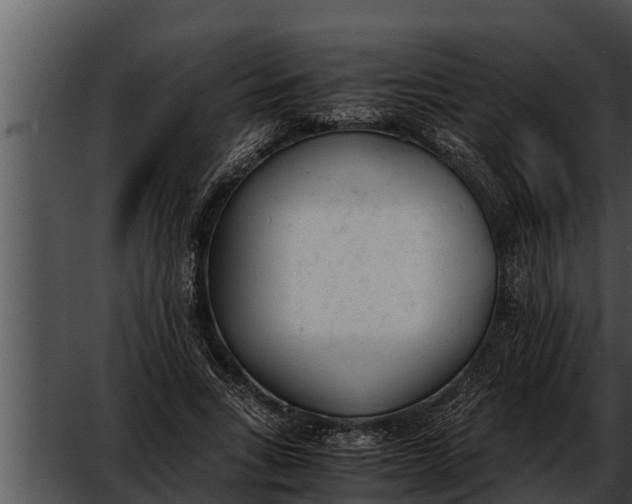 X0000052610735200507160037