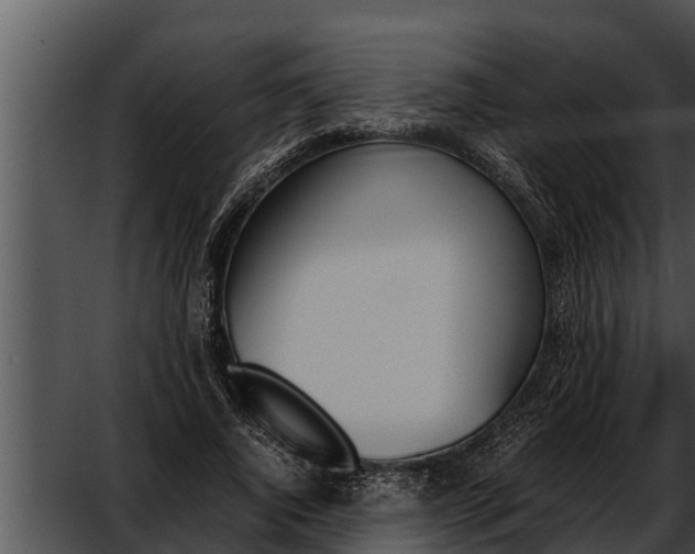 X0000052610736200507160037