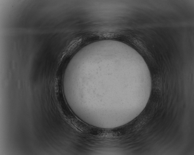 X0000052610738200507160037