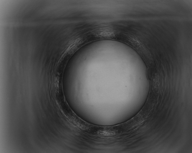 X0000052610739200507160037