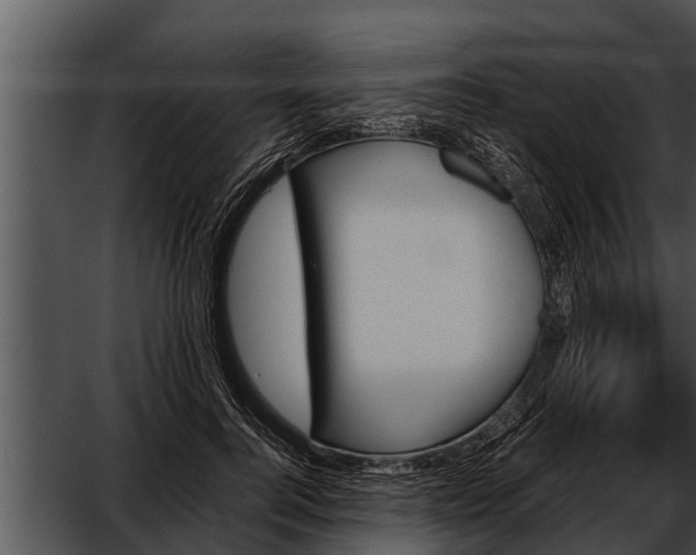 X0000052610744200507160037