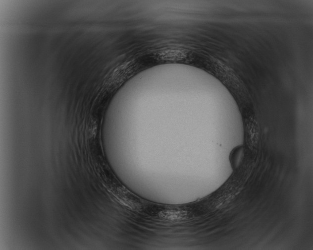 X0000052610745200507160037