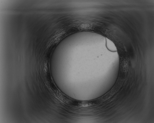 X0000052610746200507160037