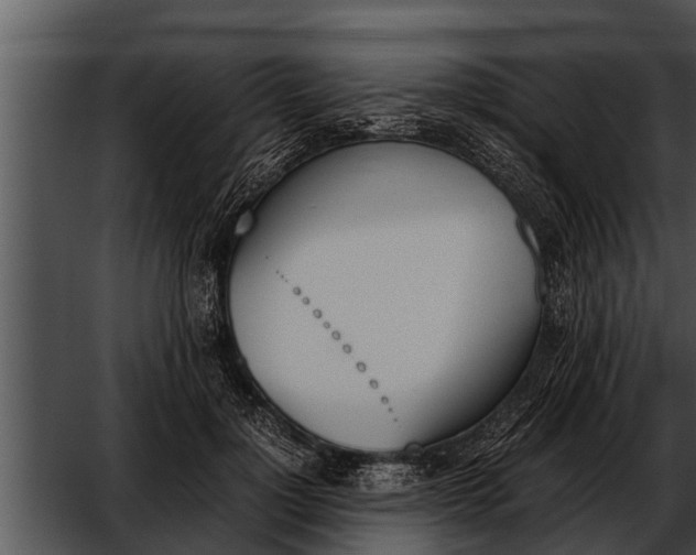 X0000052610748200507160037