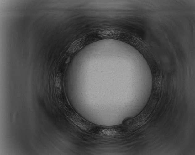 X0000052610749200507160037