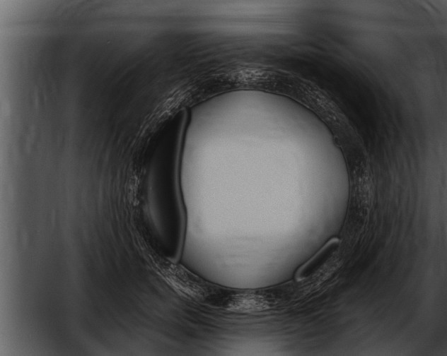 X0000052610750200507160037