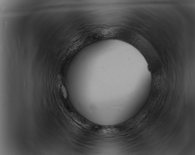 X0000052610752200507160037