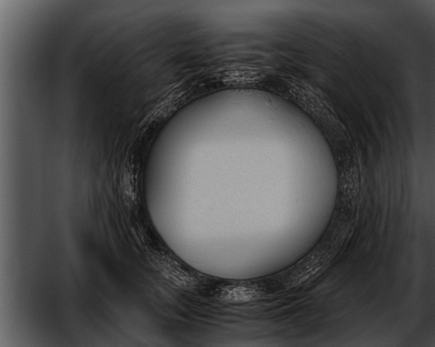 X0000052610755200507160037