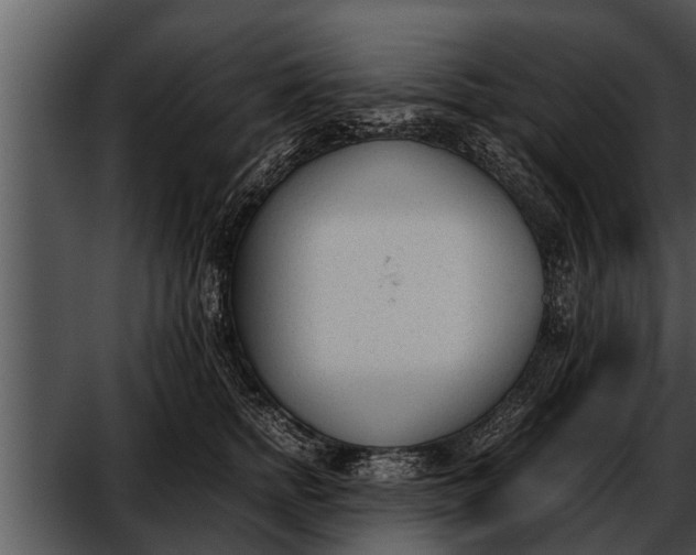 X0000052610758200507160037