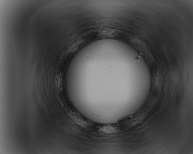 X0000052610759200507160037