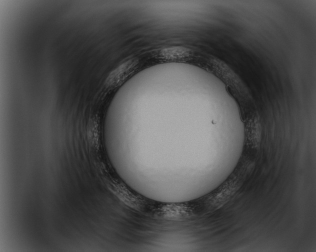 X0000052610762200507160037