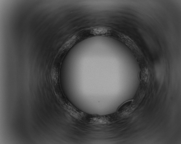 X0000052610763200507160037