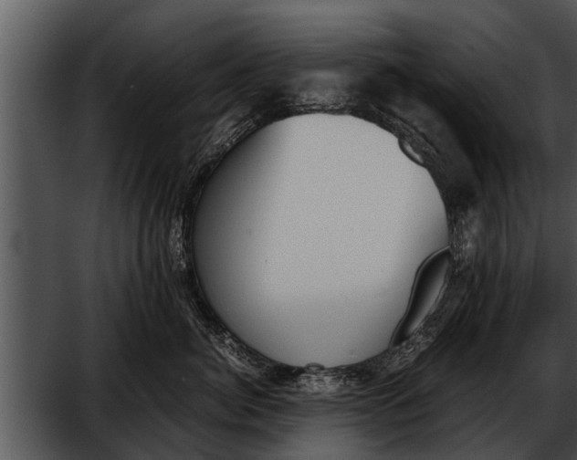 X0000052610764200507160037