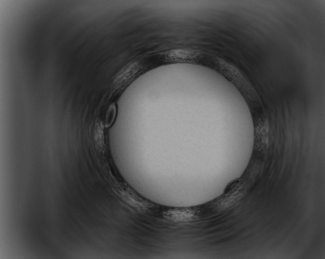 X0000052610765200507160037