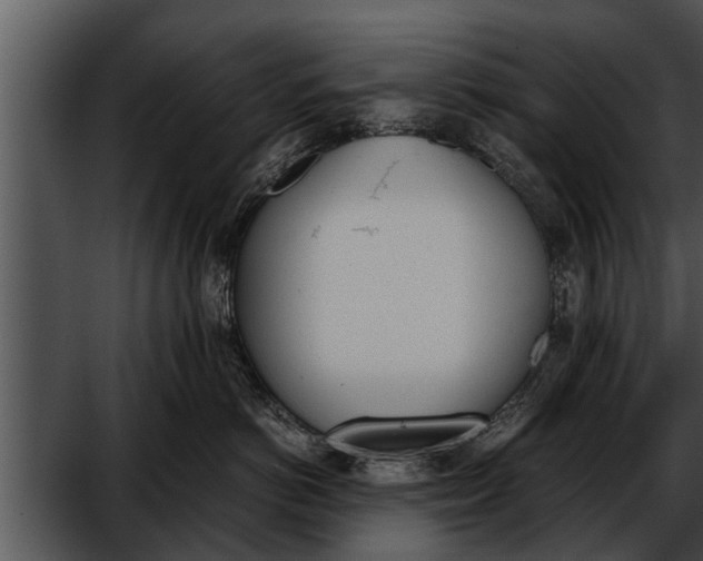 X0000052610766200507160037