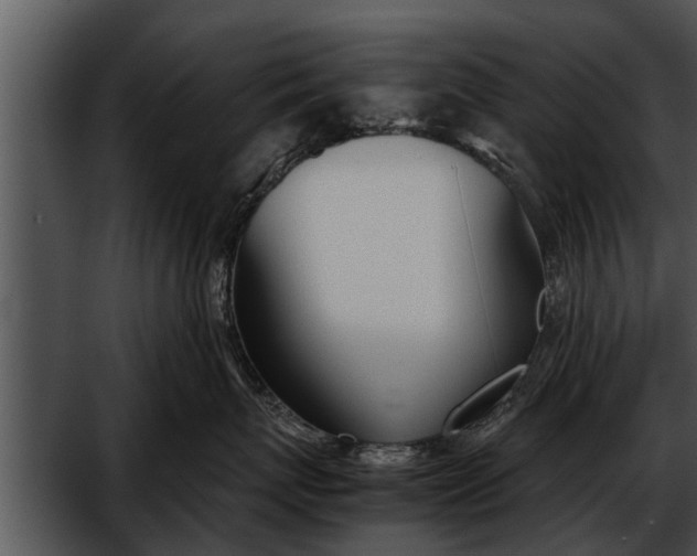 X0000052610767200507160037