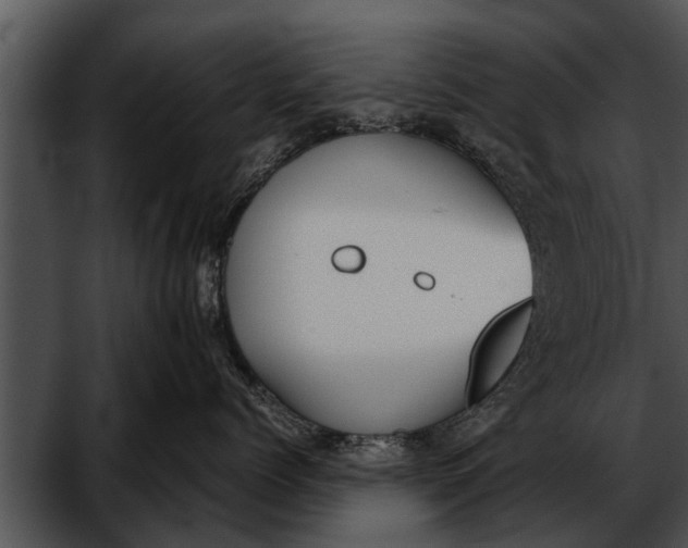 X0000052610768200507160037