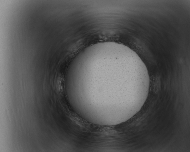 X0000052610770200507160036