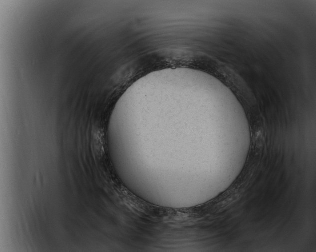 X0000052610772200507160036