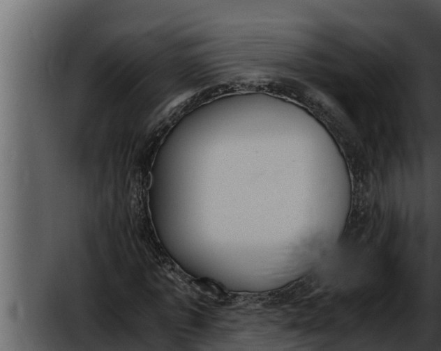 X0000052610773200507160036