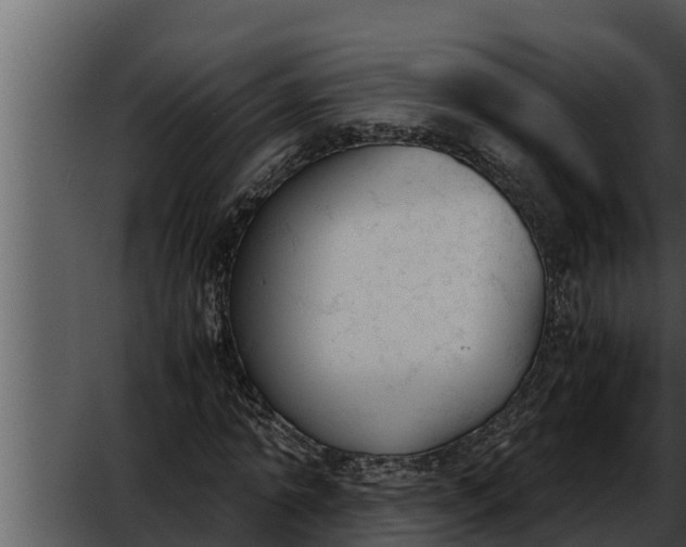 X0000052610774200507160036