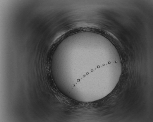 X0000052610775200507160036