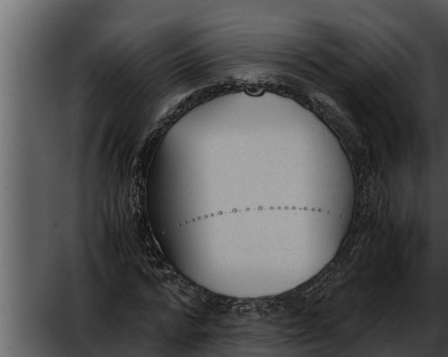 X0000052610776200507160036