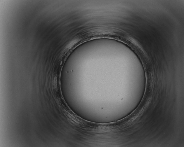 X0000052610777200507160036