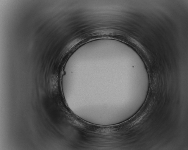 X0000052610778200507160036