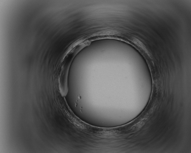 X0000052610781200507160036