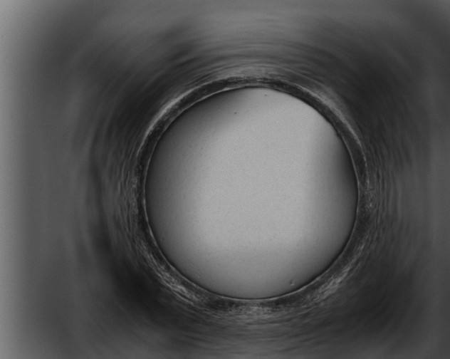 X0000052610783200507160036