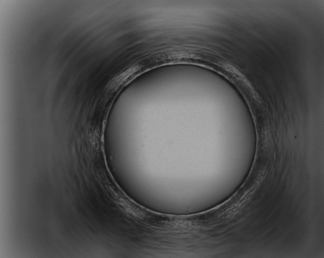 X0000052610785200507160036