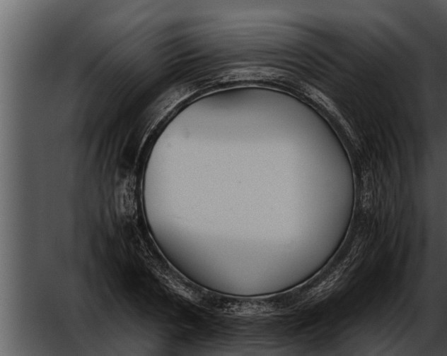 X0000052610786200507160036