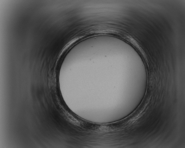 X0000052610787200507160036