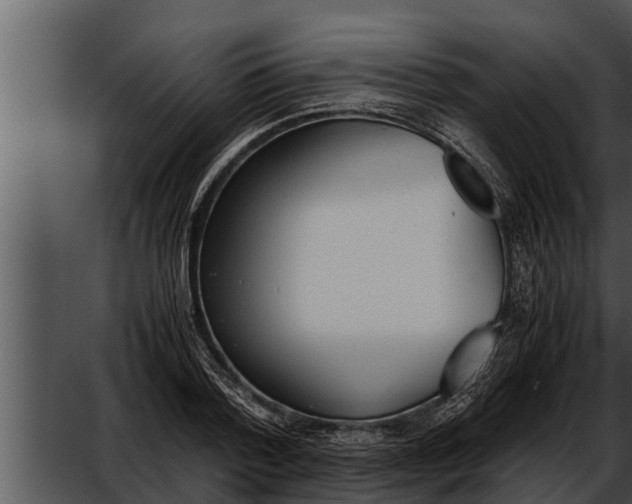 X0000052610788200507160036