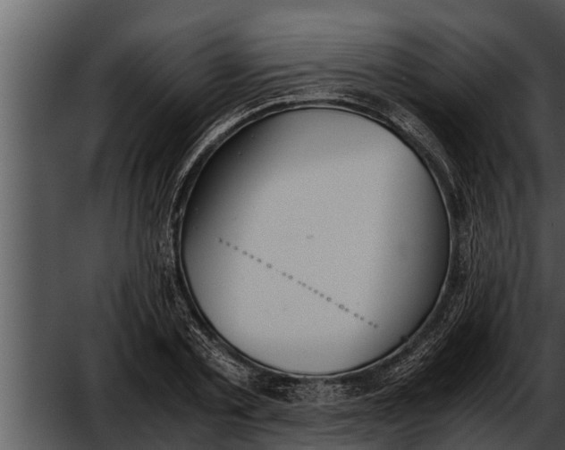 X0000052610789200507160036