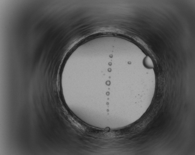 X0000052610791200507160036