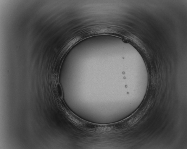 X0000052610793200507160036