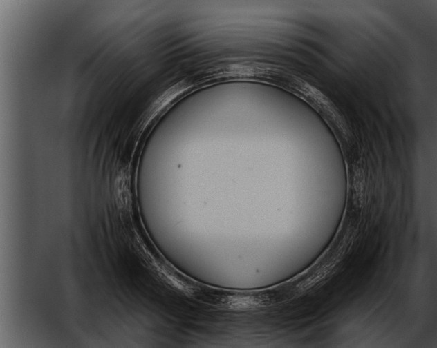 X0000052610794200507160036