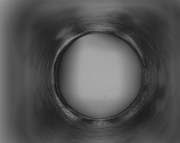 X0000052610795200507160036