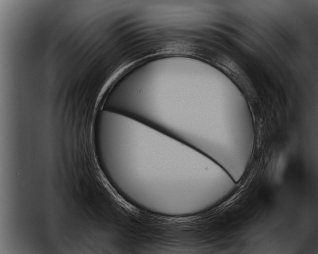 X0000052610796200507160036