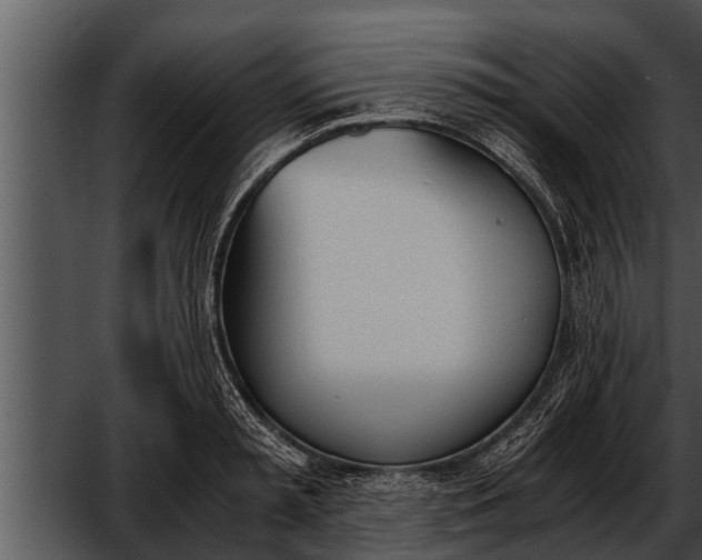 X0000052610797200507160036