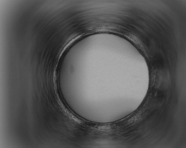 X0000052610798200507160036