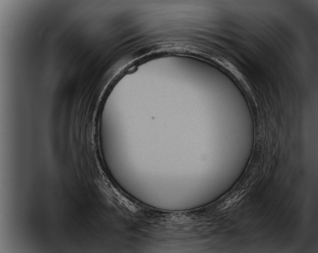 X0000052610799200507160036