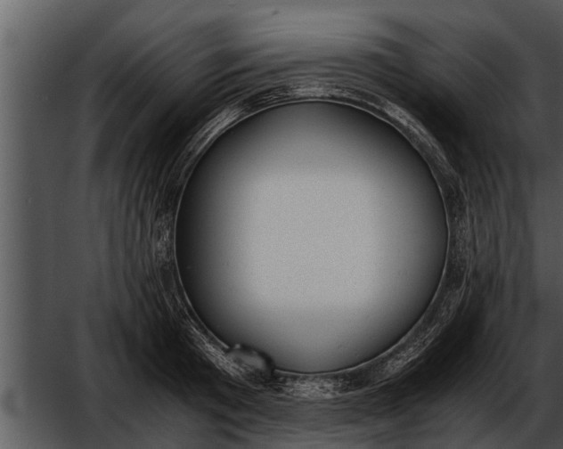 X0000052610801200507160036